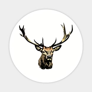 Red deer (Cervus elaphus) Magnet